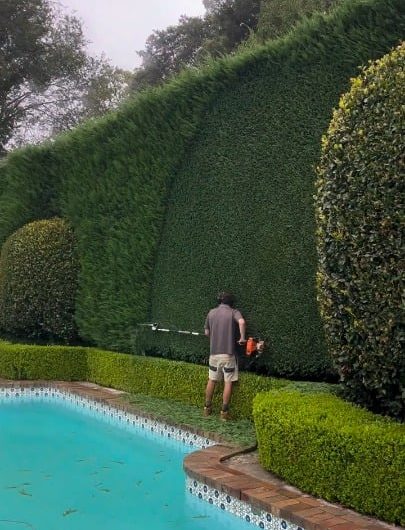 High cutting hedge