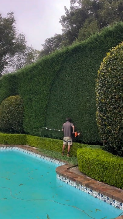 High cutting hedge