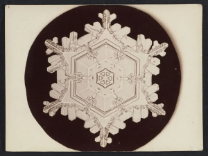 In 1885 Wilson Alwyn (1865-1931) from Vermont, became the first person to take photos of snow flakes, using a special set up. Here is some of his vast work.