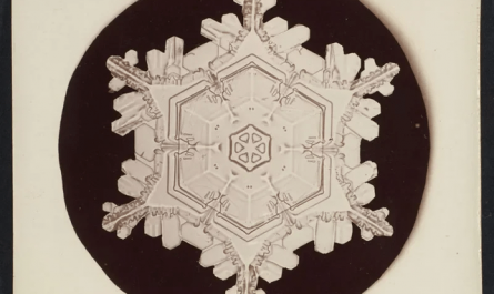 In 1885 Wilson Alwyn (1865-1931) from Vermont, became the first person to take photos of snow flakes, using a special set up. Here is some of his vast work.