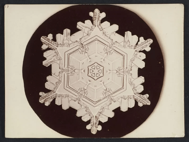 In 1885 Wilson Alwyn (1865-1931) from Vermont, became the first person to take photos of snow flakes, using a special set up. Here is some of his vast work.