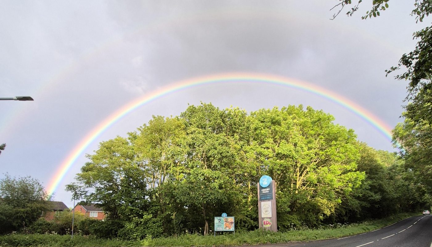 Satisfying rainbow and trees