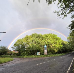 Satisfying rainbow and trees
