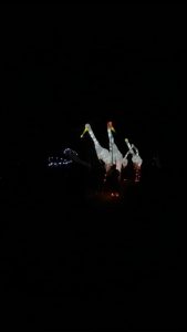 Stork puppeteers walking around in the dark