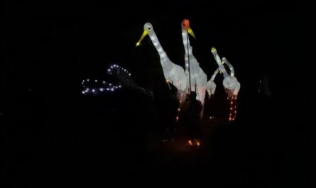 Stork puppeteers walking around in the dark