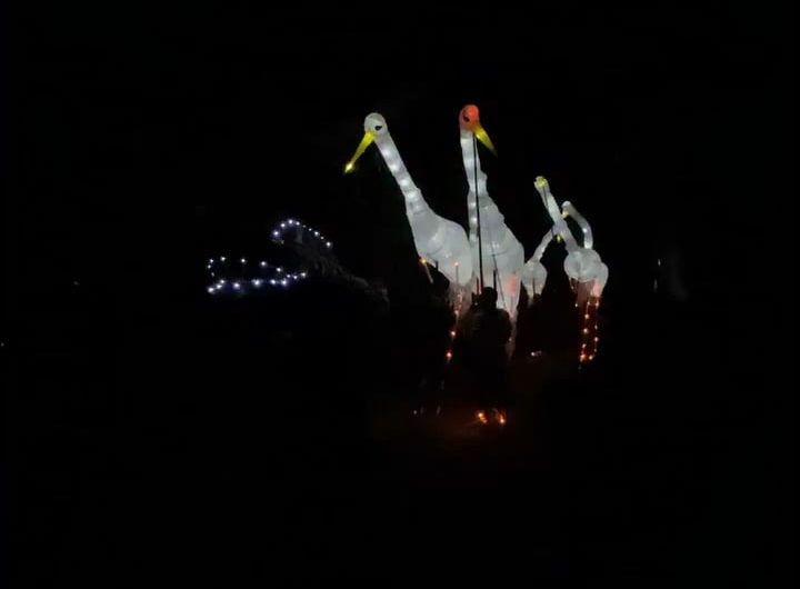 Stork puppeteers walking around in the dark