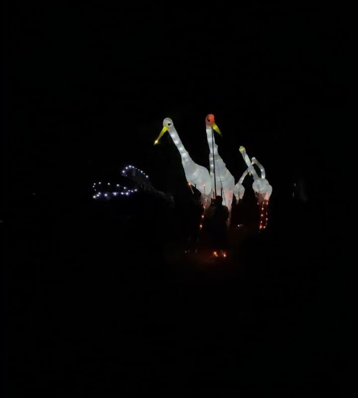 Stork puppeteers walking around in the dark