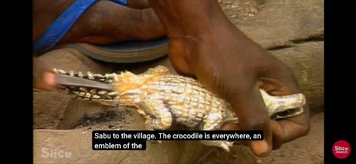 The interesting relationship between the Dogon people and crocodiles.