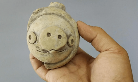 This is a 3,000-year-old clay pig found in 2020 at the Lianhe Ruins in China.