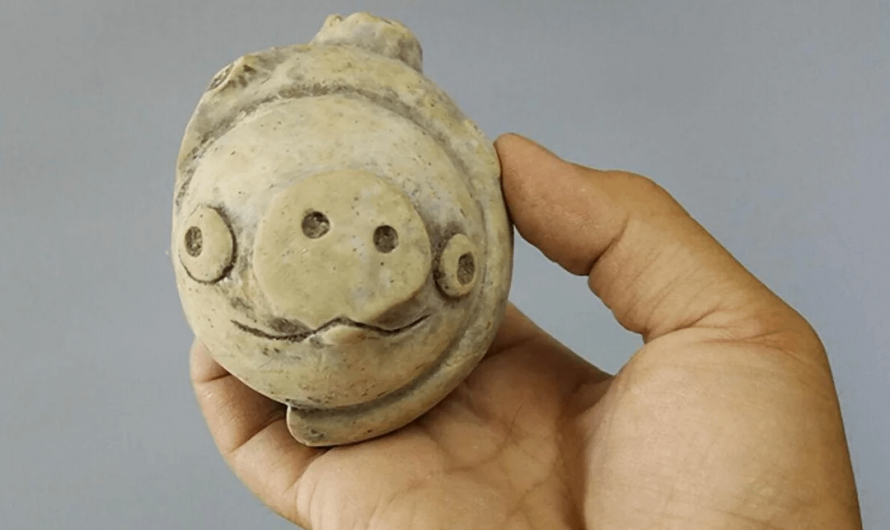 This is a 3,000-year-old clay pig found in 2020 at the Lianhe Ruins in China.