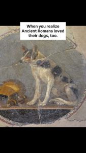 Turns out the Romans were completely obsessed with their dogs! from detailed mosaics and marble statues to heartbreaking gravestones, they truly treated them as family
