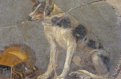 Turns out the Romans were completely obsessed with their dogs! from detailed mosaics and marble statues to heartbreaking gravestones, they truly treated them as family