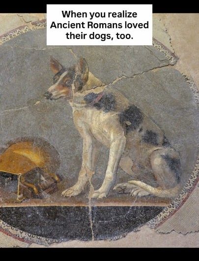 Turns out the Romans were completely obsessed with their dogs! from detailed mosaics and marble statues to heartbreaking gravestones, they truly treated them as family