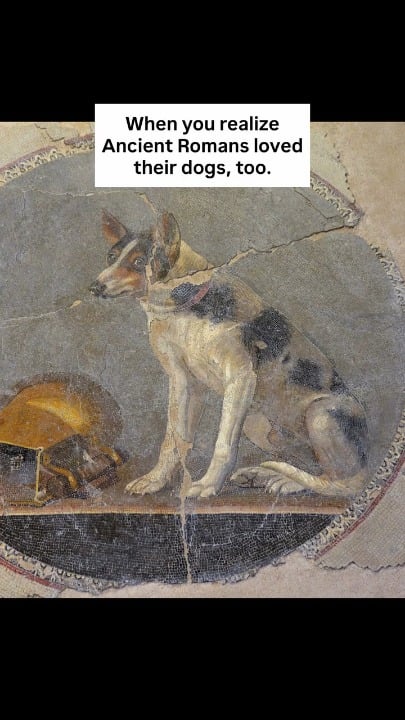 Turns out the Romans were completely obsessed with their dogs! from detailed mosaics and marble statues to heartbreaking gravestones, they truly treated them as family
